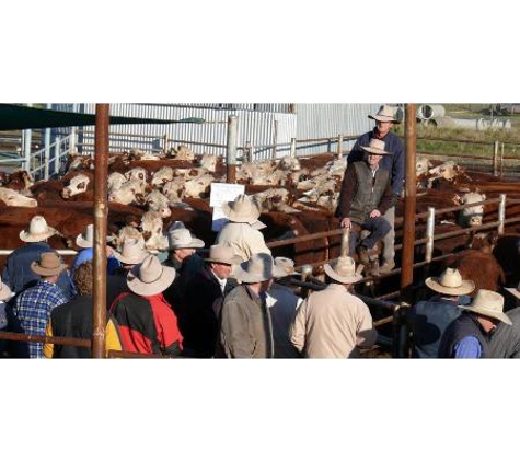 Brien A J F & Sons - Coonamble, NSW