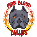 Fire Blood Bullies - Pet Breeders