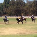 Will Rogers Polo Club - Horse Stables