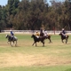 Will Rogers Polo Club