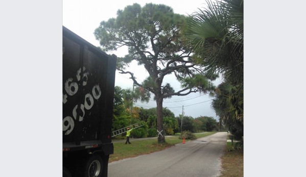 Tri-Brothers Tree & Landscaping - Port Saint Lucie, FL