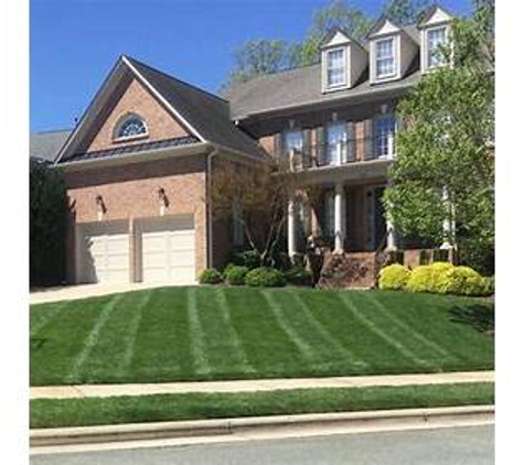 Canopy Lawn Care Raleigh