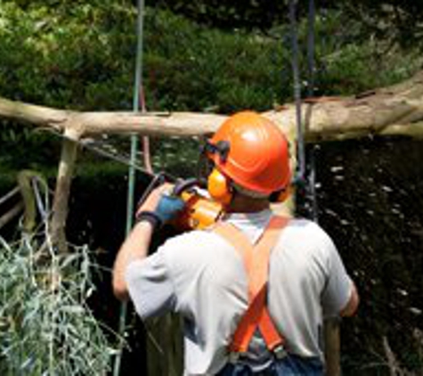 Gifford Brothers Inc Tree Service - Telford, PA