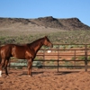 Lava Bluffs Equestrian Center gallery