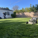 Maximus Junk Removal and Garden Services - Landscape Contractors