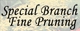 Special Branch Fine Pruning - Gardeners
