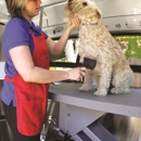Aussie Pet Mobile Upper Bux-Mont - Pet Services