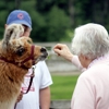 Dakota Ridge Farm gallery