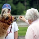 Dakota Ridge Farm - Farms