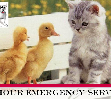 Litchfield Veterinary Hospital - Coolalinga, NT. 24 Hour Emergency Service