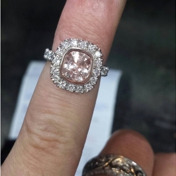 Gallery Image Number 5
