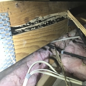 Gallery Image Number 4