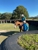 Tandan Equine Horse Riding Centre - Horse Riding