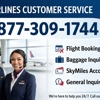 Delta Air Lines gallery