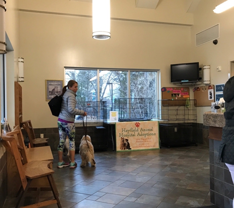 Hayfield Animal Hospital - Alexandria, VA