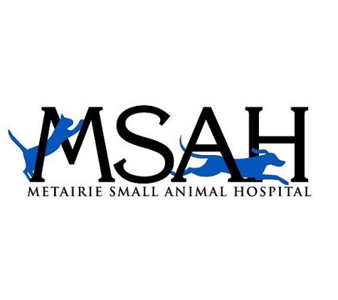 Metairie Small Animal Hospital - Lakeview Clinic - New Orleans, LA
