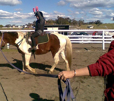 Darkes Forest Riding Ranch - Darkes Forest, NSW