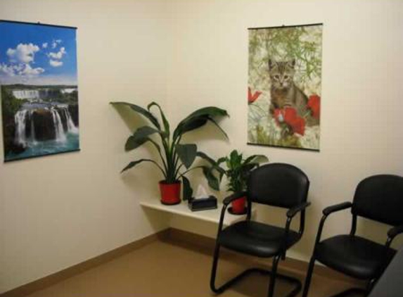 Bairnsdale Animal Hospital - Eastwood, VIC
