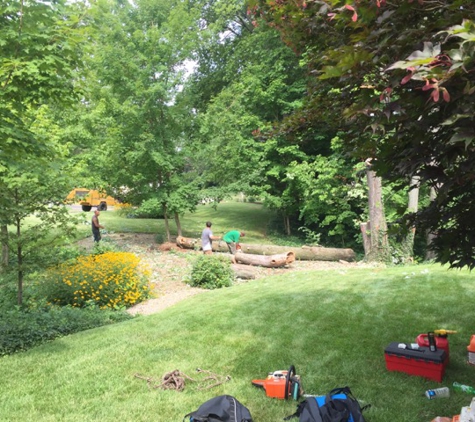 Clean Cut Tree & Landscape - Batavia, OH. Took care not to damage landscaping or lawn