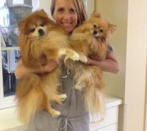 Polo Springs Veterinary Hospital - Colorado Springs, CO