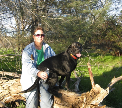 Black Dog Walking and Animal Care - Antioch, CA