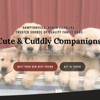 Cute & Cuddly Companions gallery