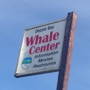 Whale Watching In Depoe Bay