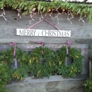 Northern Lights Christmas Tree Farm - Christmas Trees