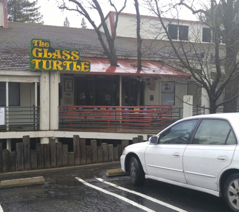 Glass Turtle - Roseville, CA