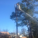 Southern Tree Surgery - Landscape Contractors