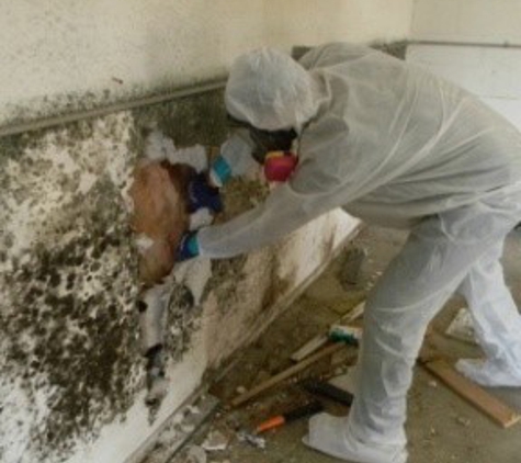 Healthy Air Duct Cleaning & Mold Remediation - Gretna, LA