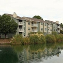 Springhouse Apartments - Apartments