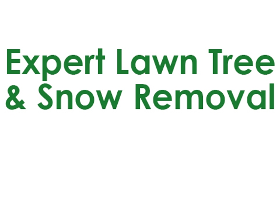 Expert Lawn Tree & Snow Removal - Sauk Village, IL