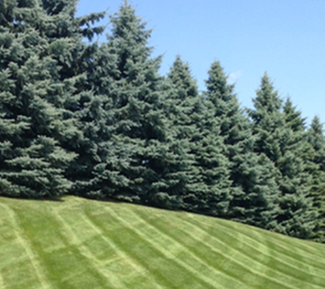 David's Lawn Service - Plymouth, MN