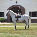 Reign Equestrian - Riding Academies