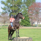 Katy Nichoalds Horsemanship