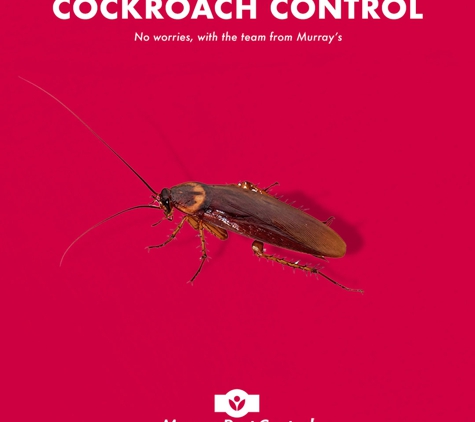 Murray Pest Control - Magill, SA
