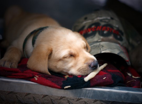 Kylers Field & Marsh kennels - La Pine, OR