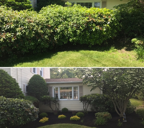 Penn Valley Landscaping LLC - Plains, PA