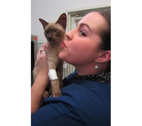 Whitehorse Veterinary Hospital