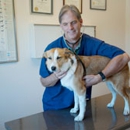 Animal Medical Hospital - Veterinarians