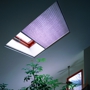 Electric Shade Interiors