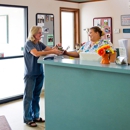 Pennfield Animal Hospital - Veterinarians