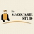 Macquarie Stud - Horse Stud Breeders &/or Dealers
