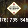 SES Tree Service of Marietta GA gallery