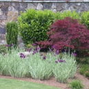 Xteriors Landscapes - Landscape Designers & Consultants