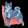 Canine Perspective gallery