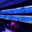 Sb Reef Lights - Pet Stores