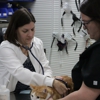 Pet Wow gallery