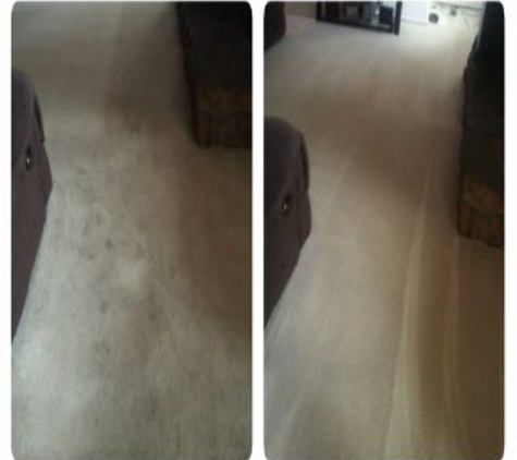 Citrusolution Carpet Cleaning - Arvada, CO